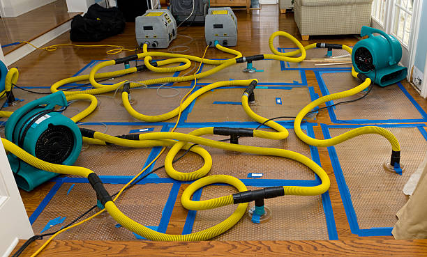 Professional Sewage Cleanup technician working in Newton Upper Falls, MA